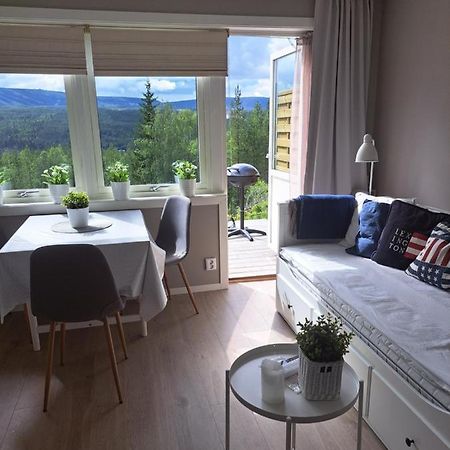 Mysig Laegenhet Med Fjaellutsikt I Saelen Apartment Luaran gambar